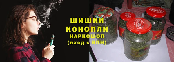 шишки Гусь-Хрустальный
