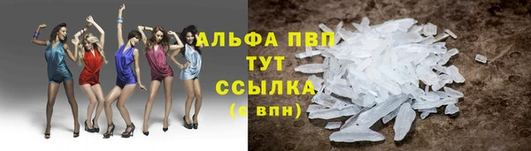 шишки Гусь-Хрустальный