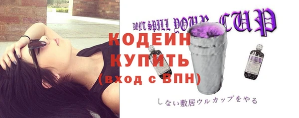прущий лед Гусев