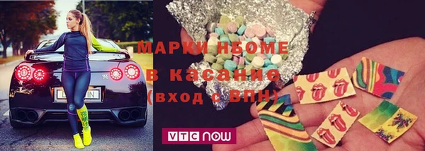 шишки Гусь-Хрустальный