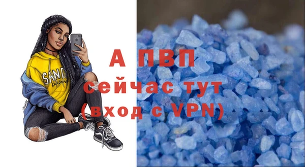 шишки Гусь-Хрустальный